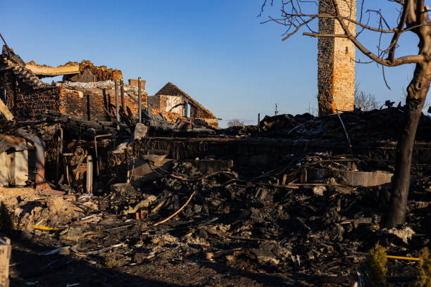 Reliable Board Up Services contractor in Hutto, TX by Fire Damage Doption