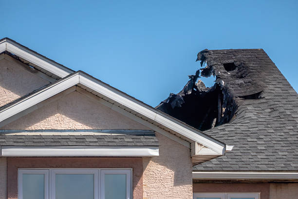 Top rated local Board Up Services specialists in Hutto, TX